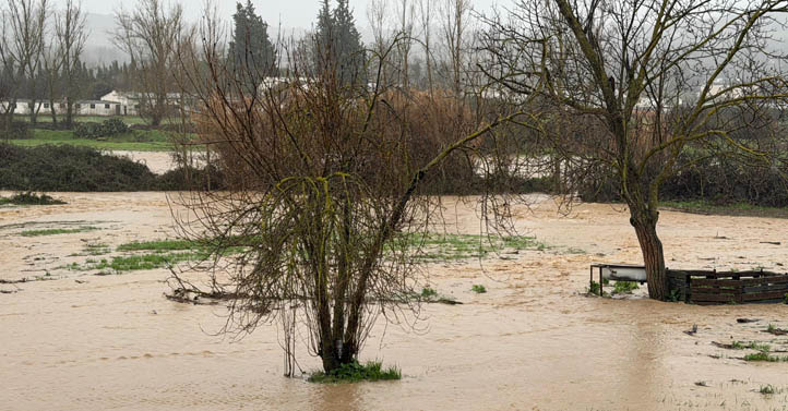 Ronda encara el jueves 5 de febrero con lluvias persistentes y fuertes vientos