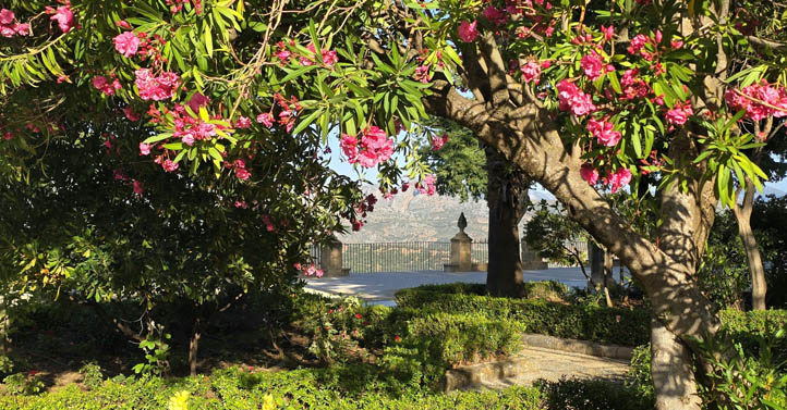 Mínimas de 20 grados para el jueves 18 de junio en Ronda