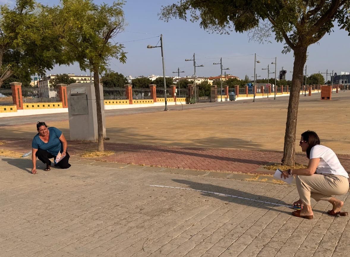 El Recinto Ferial de Ronda contará con una docena de casetas de peñas en la próxima feria