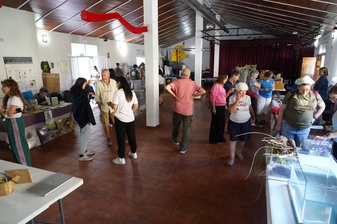 Ultiman detalles para la III Feria «Alpandeire en Verde»