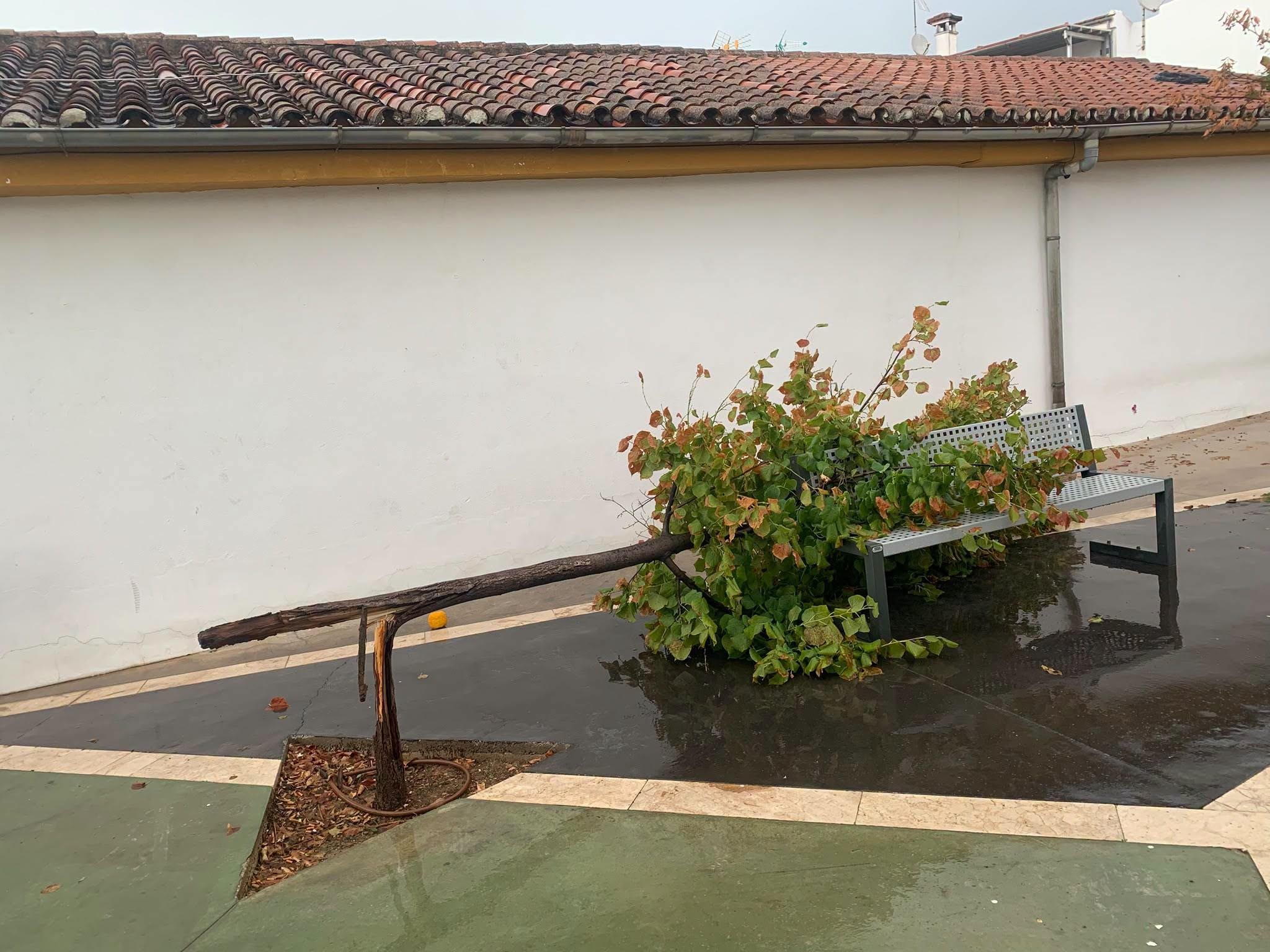 El Ayuntamiento de Ronda gestiona más de 30 incidencias por la tormenta 